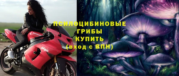 трава Нязепетровск