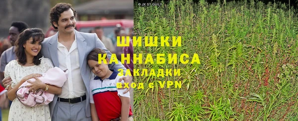 экстази Няндома