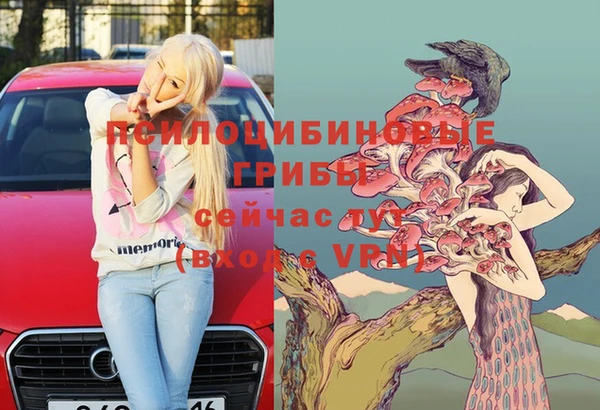 экстази Няндома