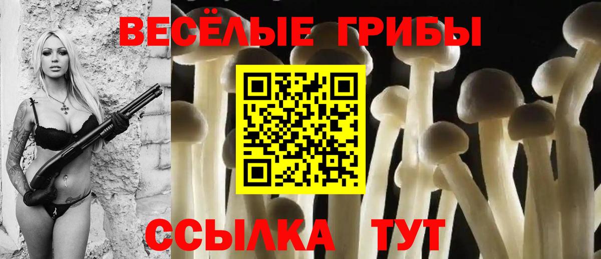 Псилоцибиновые грибы мицелий  Вход с VPN  Галлюциногенные грибы GOLDEN TEACHER  Ржев 